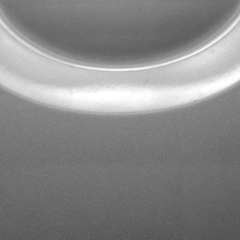 _DSC00892006-04-07
