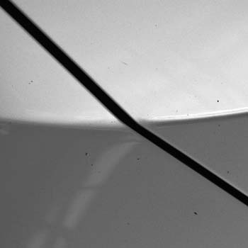 _DSC00202006-04-07